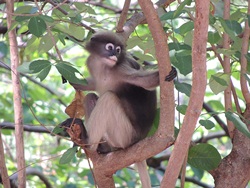 khao sam roi yot national park